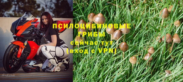 твердый Бежецк