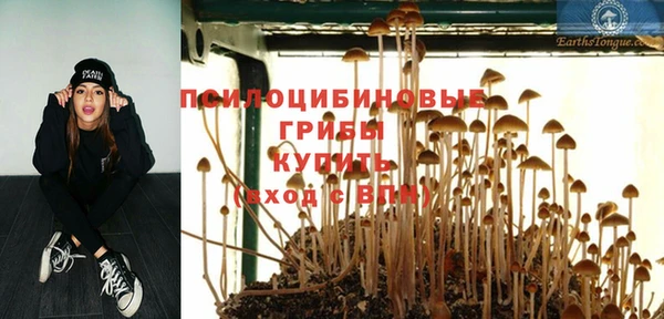 марки lsd Нея