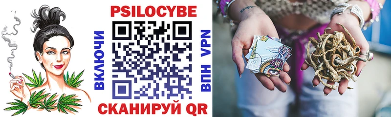 где купить наркоту  Белгород  Псилоцибиновые грибы мицелий 